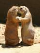 It's only love.jpg