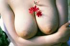 Flowers [18+].jpg
