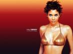 Halle Berry.jpg