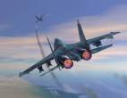 Su-30MK_F18_big.jpg