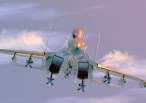 Su-30MK_gold_10_big.jpg