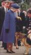 Dog likes the queen.jpg