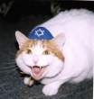 Jew.jpg
