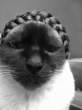 Haircut.jpg