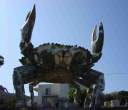 Gigantic crab.jpg