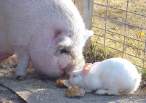 Sharing.jpg