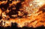 Fire.jpg