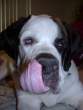 Lick.jpg