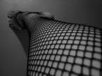 Net [18+].jpg