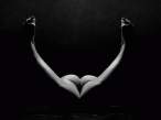Heart [18+].jpg