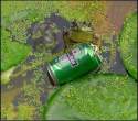 Heineken.jpg