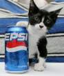 Pepsi.jpg