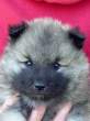 Fat baby.jpg