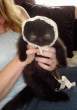 Kitty.jpg