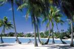 bora bora9.jpg