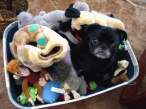 Toys.jpg