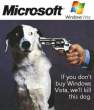 vista.jpeg