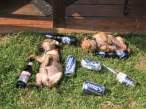 Wasted.jpg