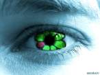 Eye.jpg