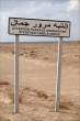 Camels gross.jpg