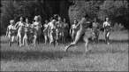 Run [18+].jpg