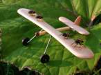 Bee copter.jpg