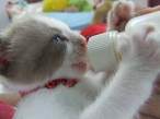 Drink.jpg
