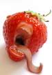 Strawberry.jpg