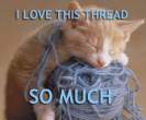 love thread.jpg