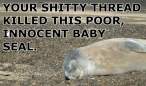 seal macro.jpg
