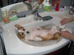 Bath time.jpg