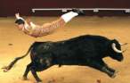 flying-bull-fighter.jpg