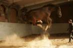 Horse jump.jpg