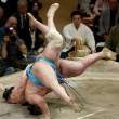 Wresting.jpg