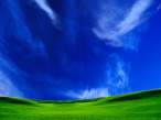winxp style 4.jpg