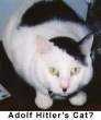 Adolf Hitler's Cat.jpg