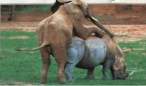 Hump.jpg