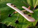 Fly plane.jpg