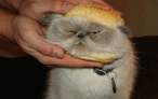 Tasty.jpg