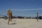 Volley [18+].jpg