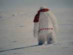 Yeti.jpg