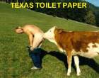 Texas Toilet Paper.jpg