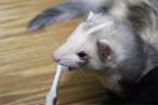 Clean teeth.jpg