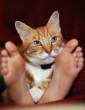 Feet.jpg