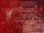 ynwa_big.jpg