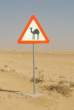 sign-camel.jpg