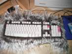 Furry keyboard.jpg
