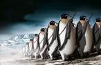Penguin.jpg