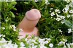 Dicks.jpg