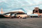 What a plane.jpg